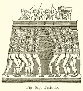 Testudo alkotó: English School