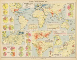 Textilszálak, pamut és len (színes litográfia) alkotó: English School