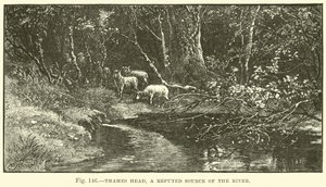 Thames Head, a folyó neves forrása alkotó: English School