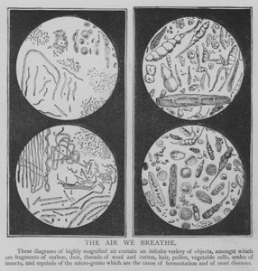 A levegő, amit belélegzünk (metszet) alkotó: English School