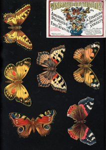 Az animált pillangók, mulatságos, dekoratív és tanulságos, megdöbbentő és valósághű újdonság (színes litho) alkotó: English School