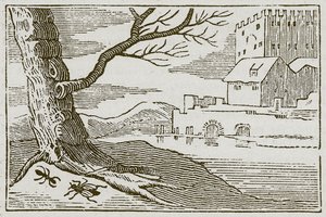 A hangya és a légy (metszet) alkotó: English School