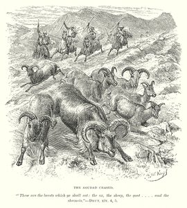 Az Aoudad Chased (metszet) alkotó: English School