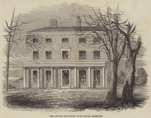 Az idióták menhelye, Park House, Highgate alkotó: English School