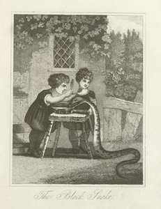 A Fekete Kígyó alkotó: English School