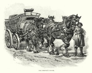 A Brewer