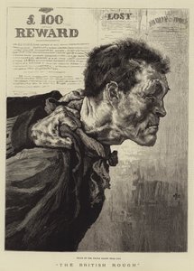 The British Rough (metszet) alkotó: English School