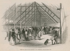 A Smithfield Club marhabemutatója