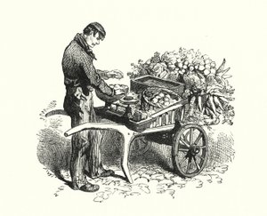 The Costermonger (metszet) alkotó: English School