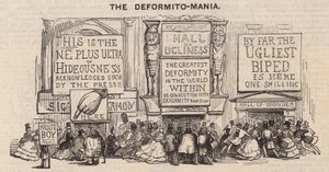 A Deformito-mánia alkotó: English School