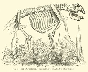 A Diprotodon alkotó: English School