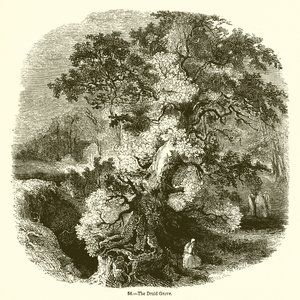 A Druida Grove alkotó: English School