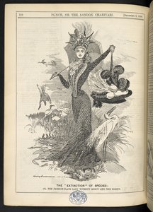 A fajok "kihalása"; Vagy a könyörület nélküli divattáblás hölgy és a kócsagok, a „Punch, or the London Charivari” című művéből, 1899. szeptember 6. (metszet) alkotó: English School
