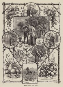 A gyümölcs, amit megeszünk (metszet) alkotó: English School
