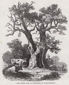 The Gospel Oak, Stonleigh, Warwickshire (metszet) alkotó: English School