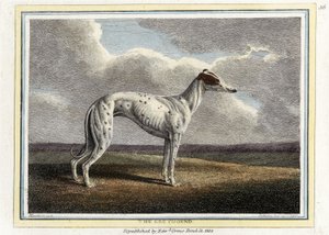 The Greyhound, kocsma. 1812 (kézzel színezett metszet) alkotó: English School