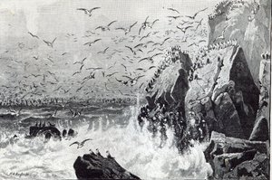 A sirályok kísértete, a Szabadidő órából, 1888 alkotó: English School