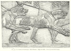 Assurbanipal kutyái. British Museum (metszet) alkotó: English School