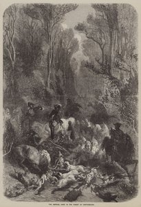 A császári vadászat a fontainebleau-i erdőben (metszet) alkotó: English School