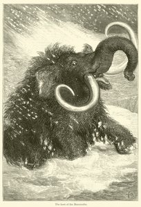 Az utolsó mamut (metszet) alkotó: English School