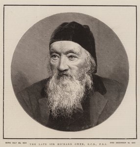 A néhai Sir Richard Owen, KCB, FRS (metszet) alkotó: English School