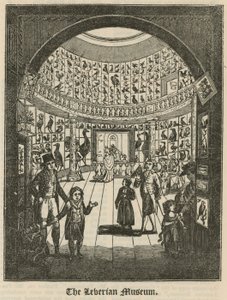 A Leverian Múzeum alkotó: English School