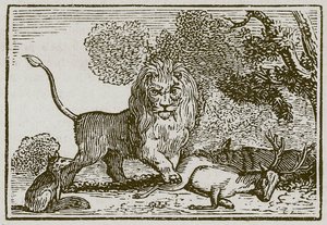 Az oroszlán, a szamár és a róka (metszet) alkotó: English School
