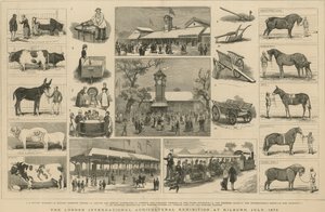 Londoni Nemzetközi Mezőgazdasági Kiállítás Kilburnben, 1879. július