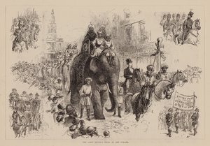 A Lord Mayor