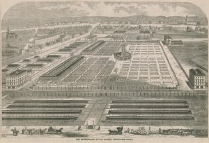 A Metropolitan Cattle Market, Copenhagen Fields, London