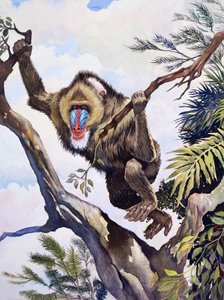 A majompásztor, a "Természet csodái"-ból alkotó: English School