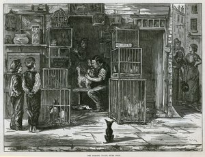 A reggeli vécé, hét számlap alkotó: English School