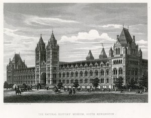 Természettudományi Múzeum, 1881 alkotó: English School