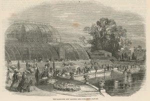 The Palm House, Kew Gardens, London alkotó: English School