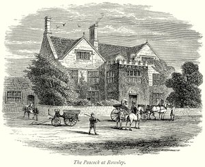 A Rowsley-i páva (metszet) alkotó: English School