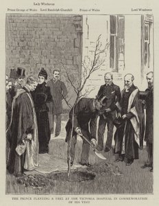 A herceg fát ültet a Victoria Kórházban látogatása emlékére (metszet) alkotó: English School