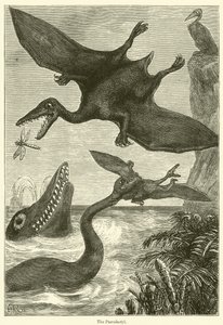 A pterodaktilusz (metszet) alkotó: English School