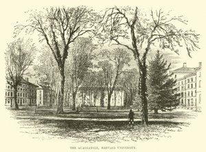 A négyszög, Harvard Egyetem alkotó: English School
