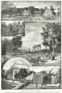 Királyi Botanikus Kert (metszet) alkotó: English School
