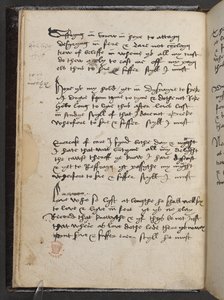 A Sheltun akrosztichon, a "The Devonshire Manuscript"-ből, Add MS 17492, f.6v (toll és tinta, papír) alkotó: English School