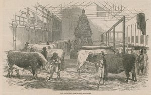 A Smithfield Club szarvasmarha bemutató udvara alkotó: English School