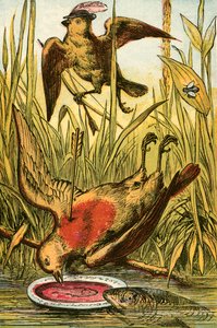 A veréb, Cock Robin és a hal alkotó: English School