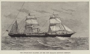 A Ruapehu Steam-Ship, az Új-Zélandi Hajózási Társaság (metszet) alkotó: English School