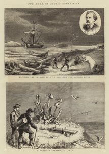 Die schwedische Arktisexpedition von English School