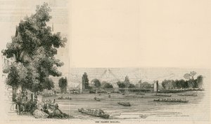 A Temze Regatta alkotó: English School