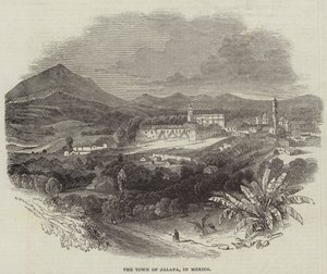 Jalapa városa, Mexikóban (metszet) alkotó: English School