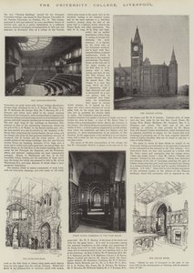 The University College, Liverpool (metszet) alkotó: English School