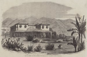 Vigia, Madeira, Ő Császári Felsége, az osztrák császárné téli rezidenciája (metszet) alkotó: English School