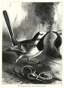 A Wagtail és a szemüveg (metszet) alkotó: English School