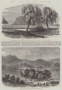 Az új-zélandi háború (metszet) alkotó: English School